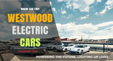 Where to Purchase Westwood Electric Cars: A Comprehensive Guide