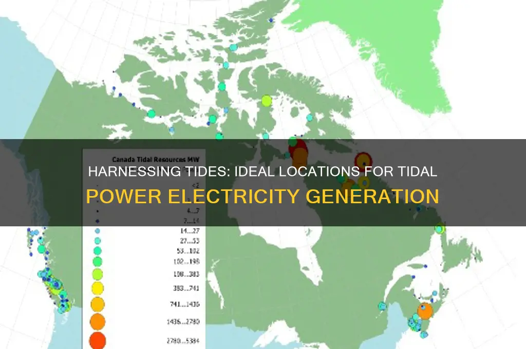 where can tidal power used to generate electricity