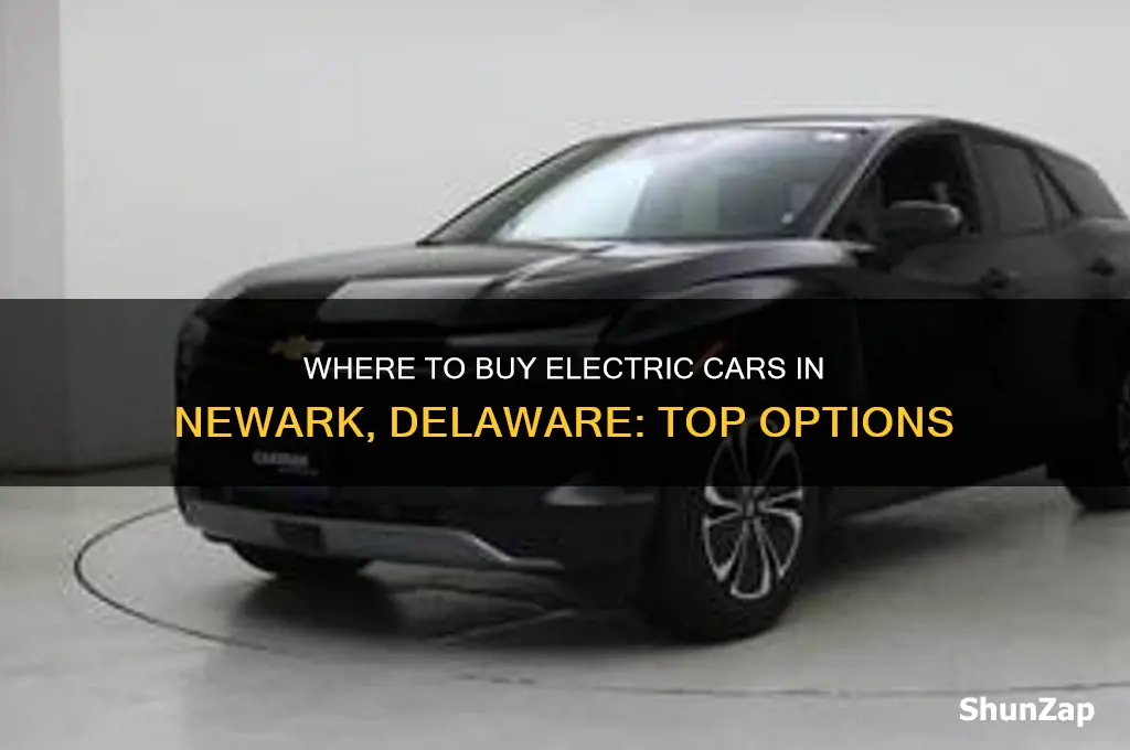 where can you buy a electric car in newark delaware