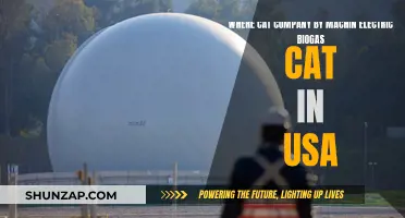 Electric Biogas Cats: US Company Revolutionizes Pet Comfort