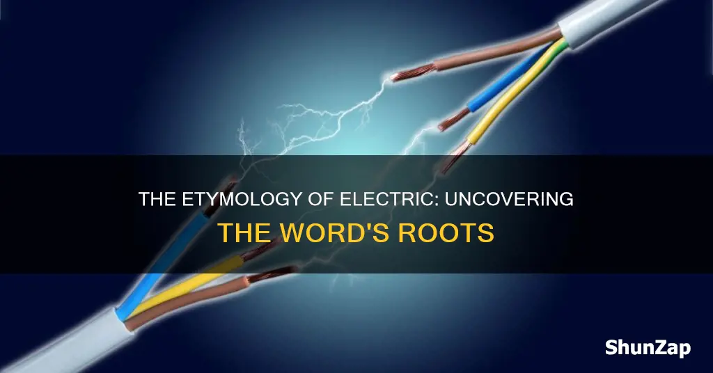 where did the word electric come from