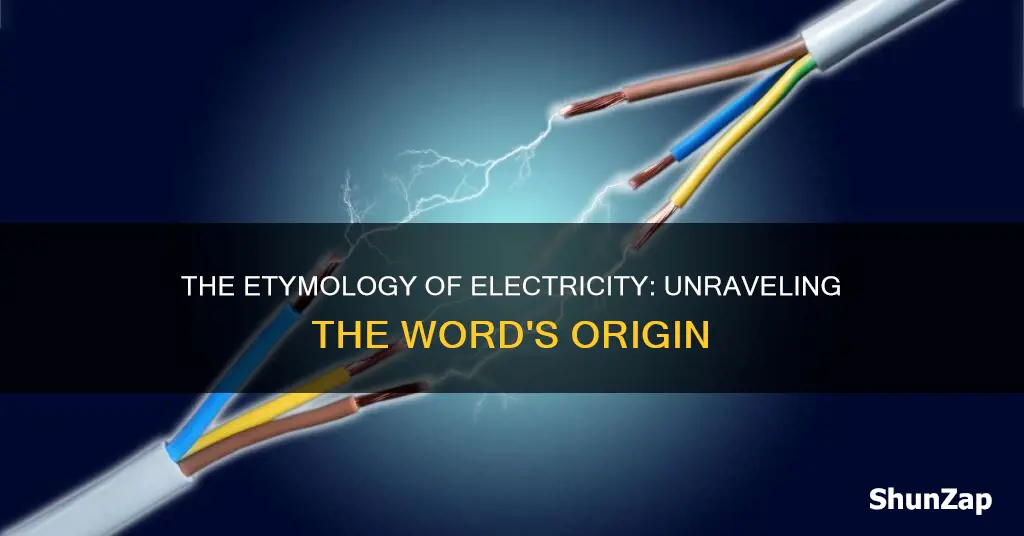 where did the word electricity come from