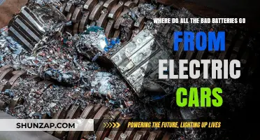 The Hidden Fate of Electric Car Batteries: Recycling, Reuse, or Waste?