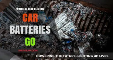 The afterlife of electric car batteries: Recycling, reuse, and disposal