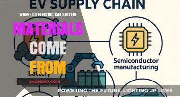Tracing the Origins of Electric Car Battery Materials: A Global Supply Chain
