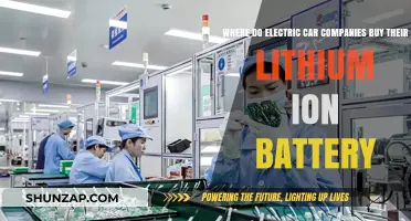 Where Electric Car Companies Source Their Lithium-Ion Batteries
