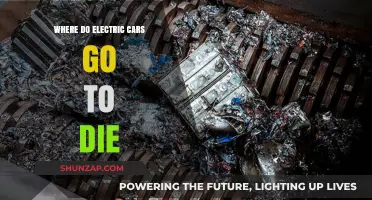 The Final Journey: Where Electric Cars Go to Die and Beyond
