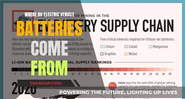 Unveiling the Origins: Where EV Batteries Are Sourced From