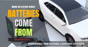 Electric Vehicle Batteries: Origins and Sources Explored