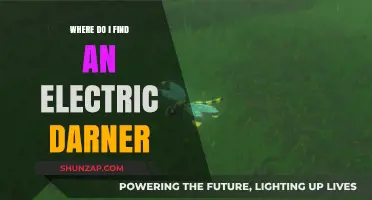The Best Places to Find an Electric Darner
