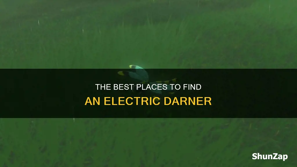 where do i find an electric darner