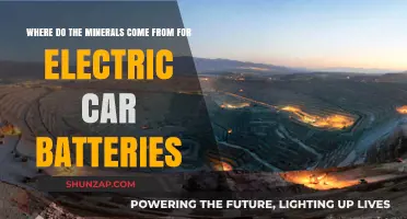 Unveiling the Origins of Electric Car Battery Minerals: A Global Journey