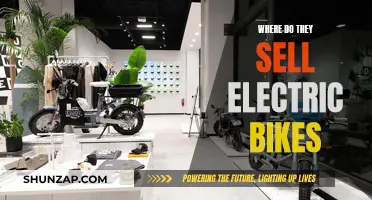 Best Places to Buy Electric Bikes: A Comprehensive Guide