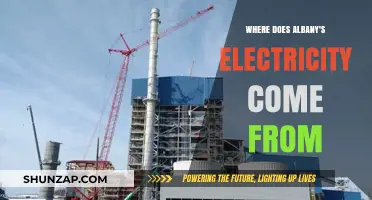 Albany's Electricity: Sources and Insights