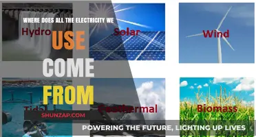 Unveiling the Sources: Where Does Our Electricity Truly Come From?