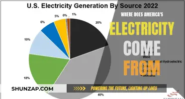 America's Electricity: Sources and Future Outlook