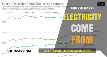 Britain's Electricity: Where Does It Originate?