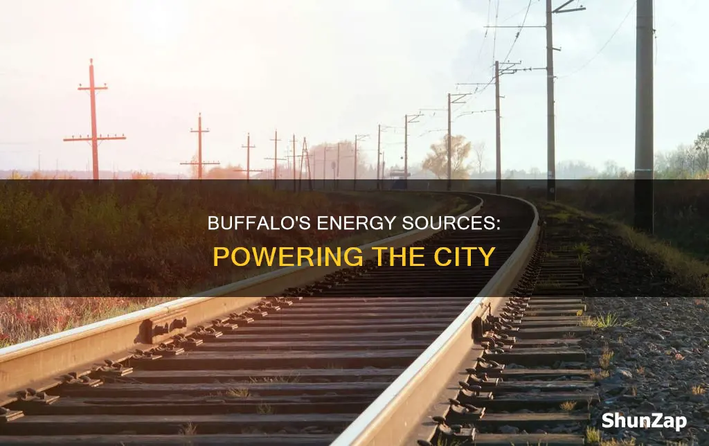 where does buffalo ny electricity come from