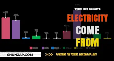Calgary's Electricity: Sources and Sustainability