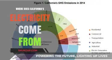 California's Electricity: Sources and Insights