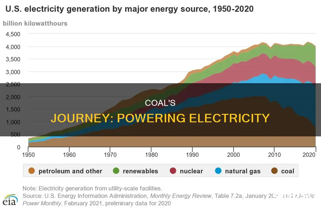 where does coal come from for electricity