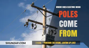 The Origin of Electric Wood Poles: A Supply Chain Story