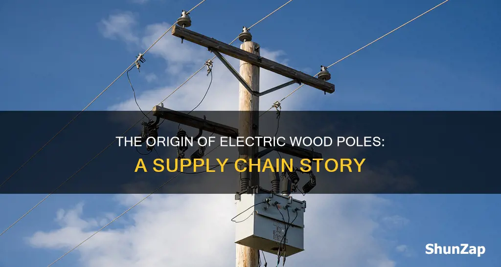 where does electric wood poles come from