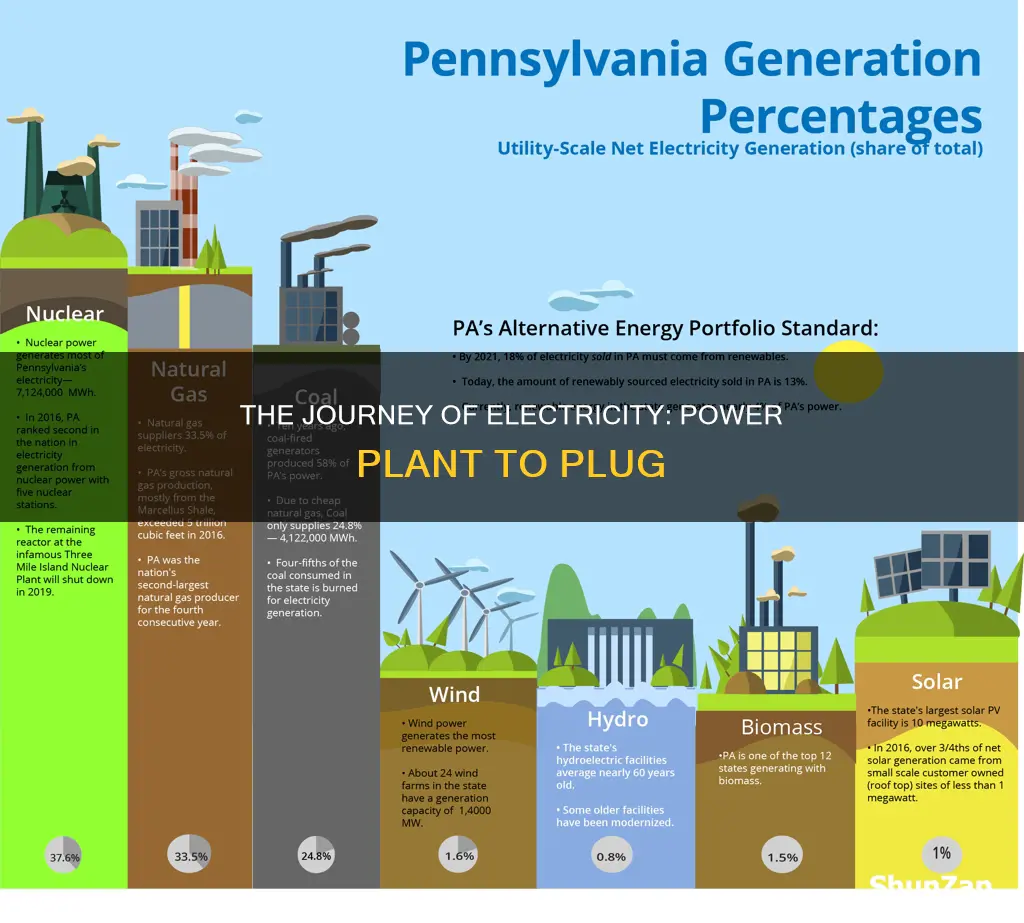 where does electricity begin its travel from