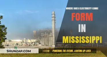 Mississippi's Power Sources: Unlocking the State's Electricity Generation
