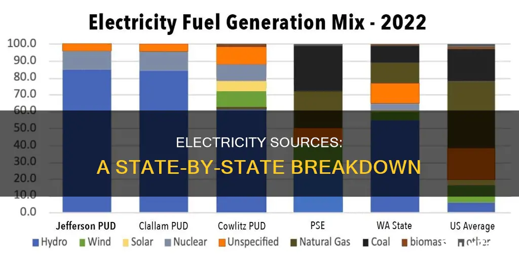 where does electricity come from by state