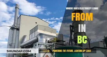 Electricity in BC: Power Sources and Sustainability