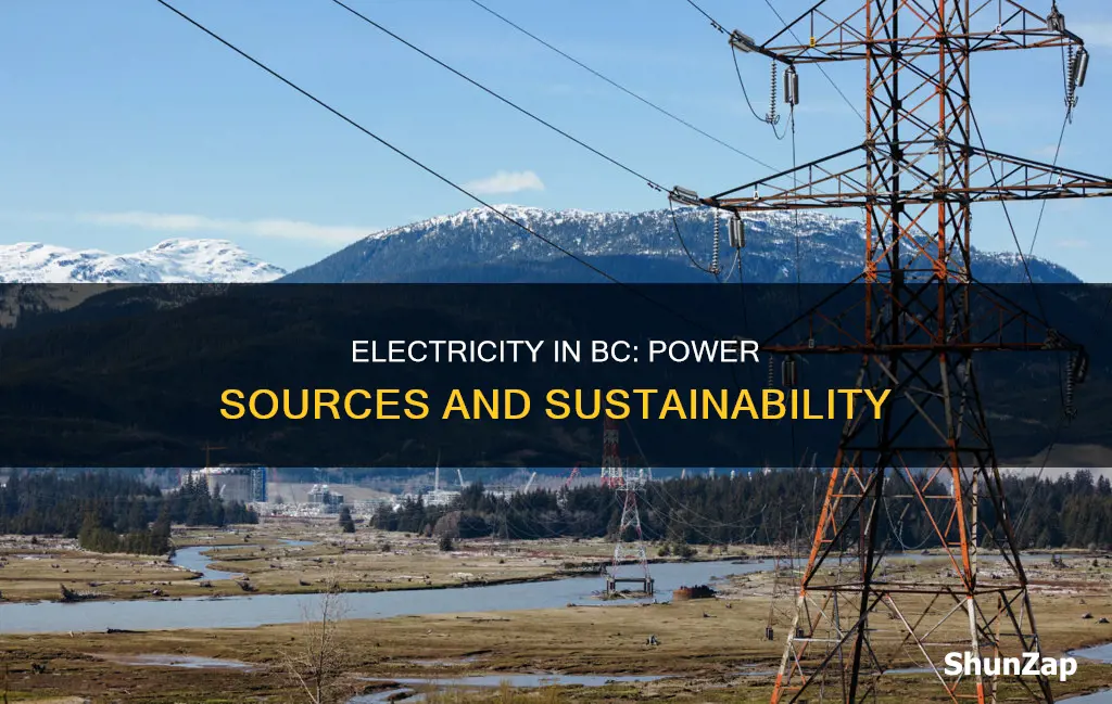 where does electricity come from in bc