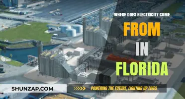 Florida's Power Sources: Unlocking the Sunshine State's Electricity