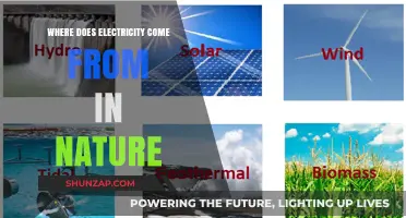 The Natural Sources of Electricity
