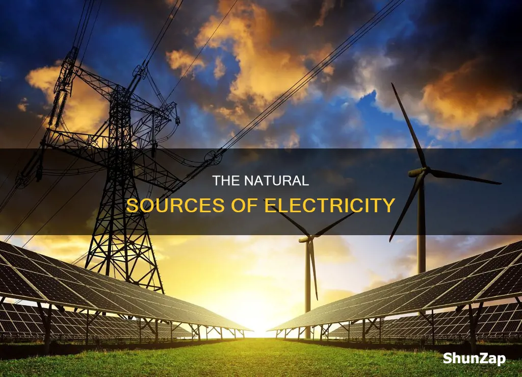 where does electricity come from in nature