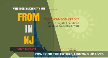 The Sources of New Jersey's Electricity