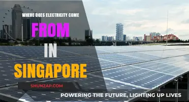 Singapore's Electricity: Where Does It Originate?