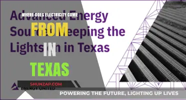 Texas Electricity: Where Does it Originate?