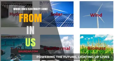 The US Electricity Sources: Past, Present, and Future