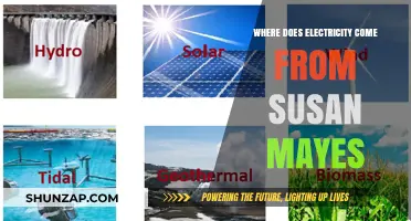 The Evolution of Electricity: Susan Mayes Explores