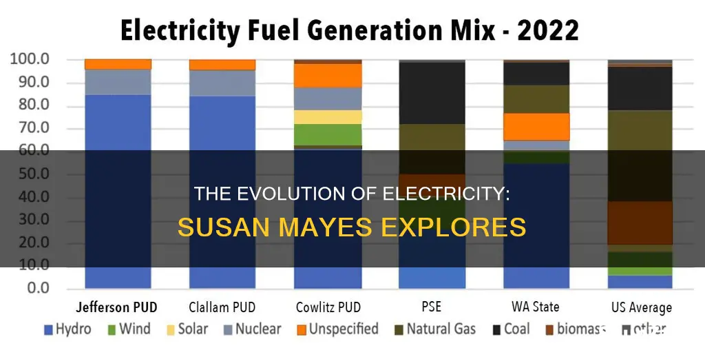 where does electricity come from susan mayes