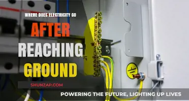 The Earth's Electricity: Where Does It Go?