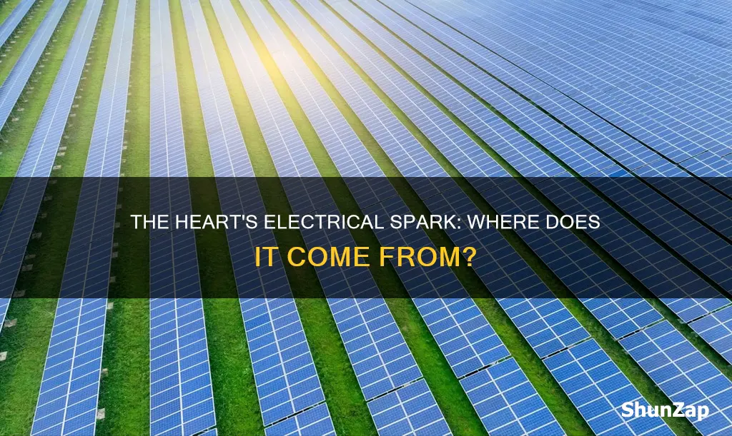 where does electricity in heart come from