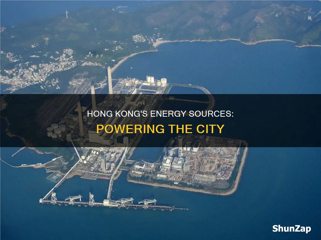 where does hong kong electricity come from