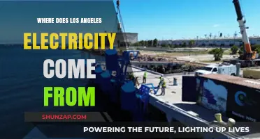 Los Angeles Electricity: Sources and Sustainability