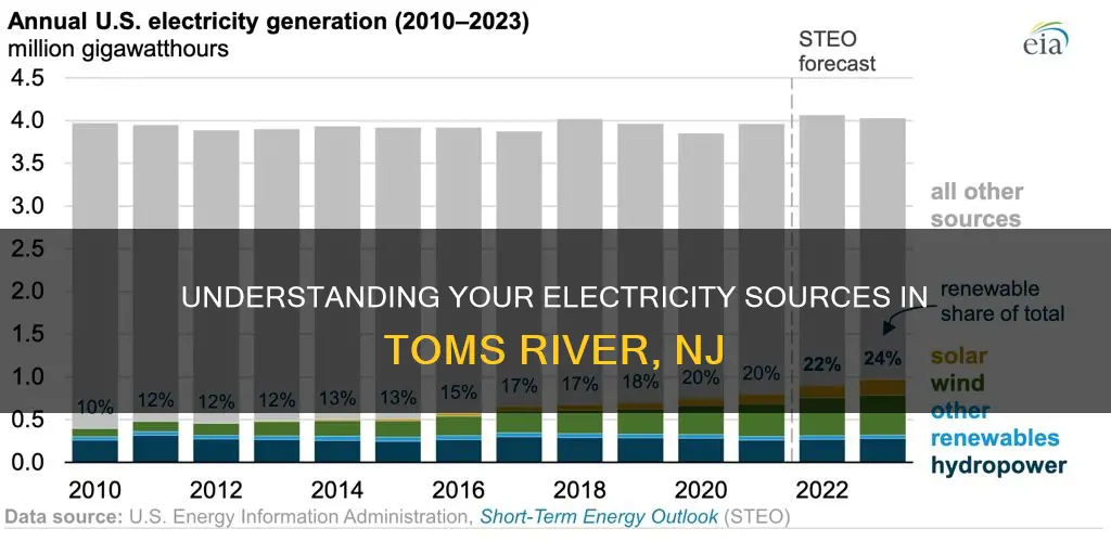 where does my electricity come from 08736