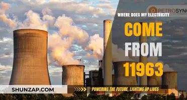 Understanding Your Electricity Sources in 11963