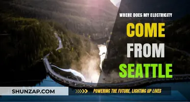 How Seattle Gets Its Electricity