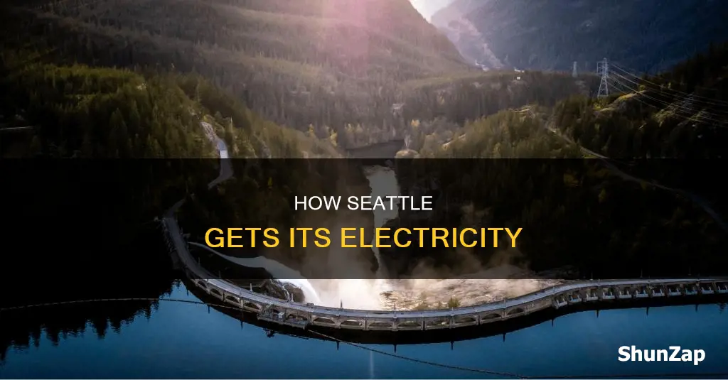 where does my electricity come from seattle