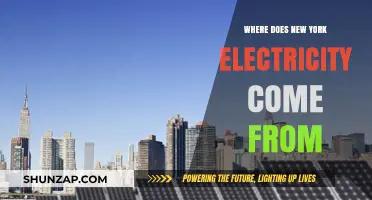 The Power Behind New York: Energy Sources Explained